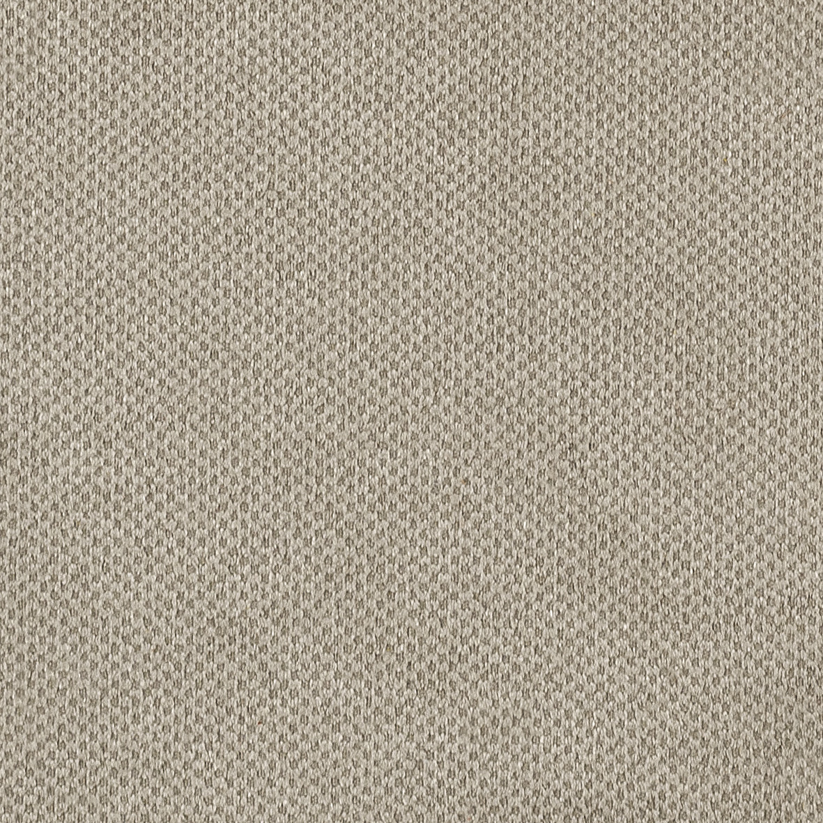 Tessuto Penny - Light grey velvet matt