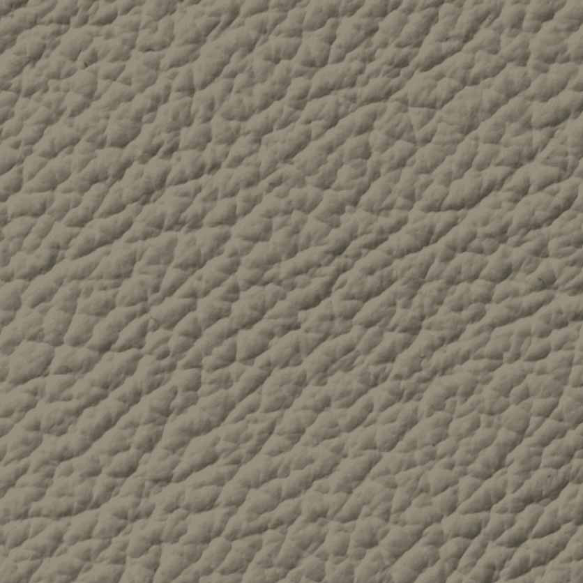 Pelle Ecologica - Mud