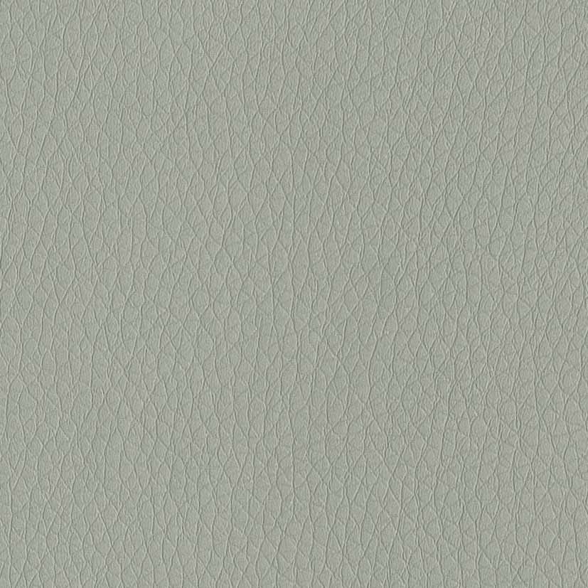 Pelle Ecologica - Light green